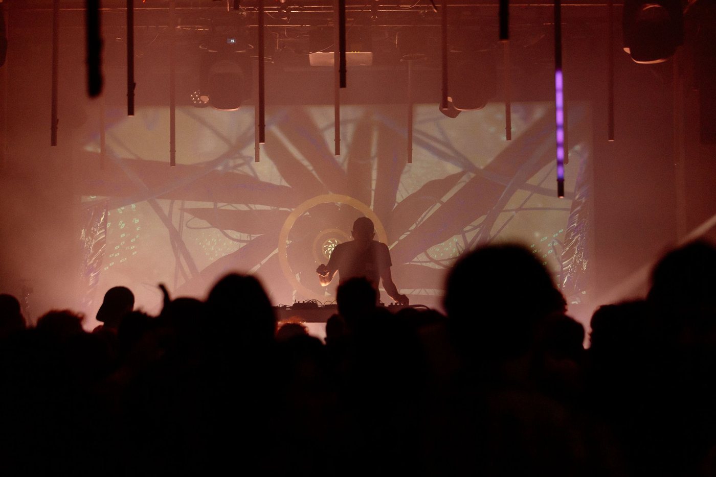 Silhouetted crowd facing the stage
